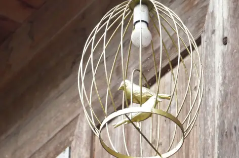 Oiseaux en cage
