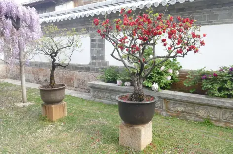 Intérieur d'un temple - Yunnan