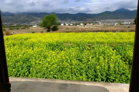 Campagne près de Lijiang