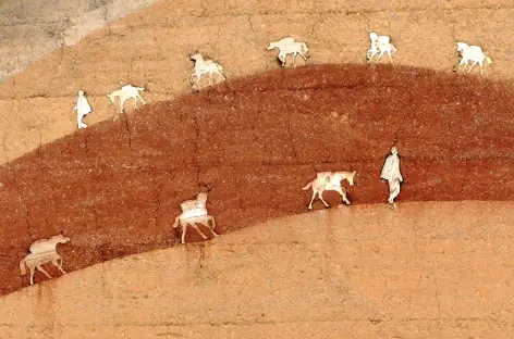 Musée du thé et des chevaux, Shaxi