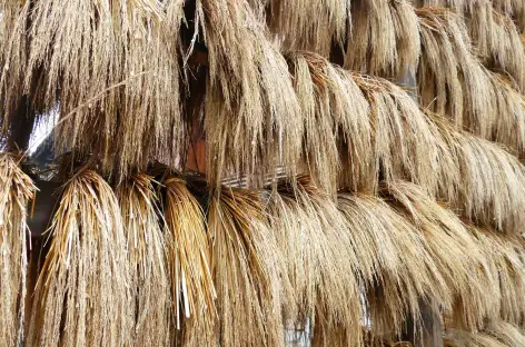 Herbes sur séchoir