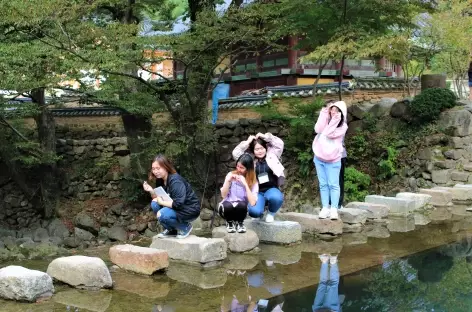 Parc provincial Jogyesan Temple Songgwang-Sa