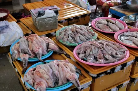 Busan marché aux poissons