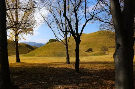 Parc des Tumulis Gyeongju