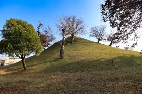 Parc des Tumulis Gyeongju