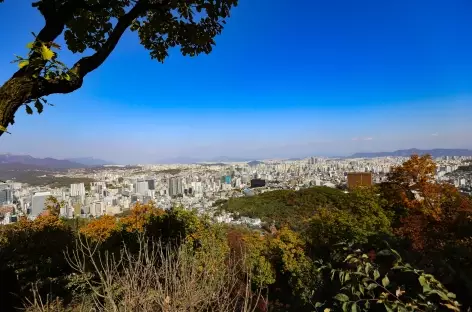 Séoul depuis Namsan Park