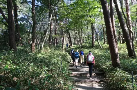 Ile de Jeju. Sentier Yeongsil, Mont Hallasan