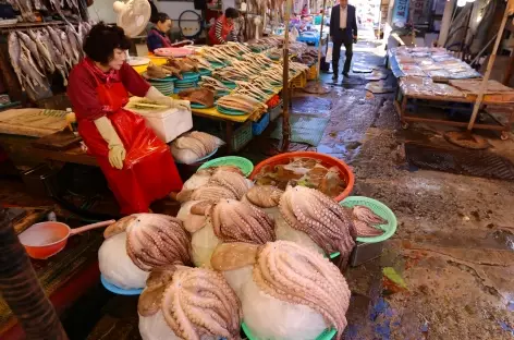 Busan. Jagalchi market