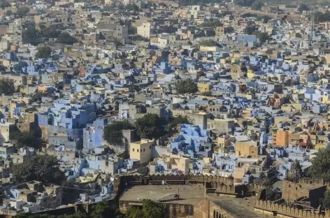La ville bleue de Jodhpur - Rajasthan, Inde