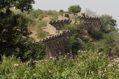Fortification de Chittogarh - Rajasthan, Inde