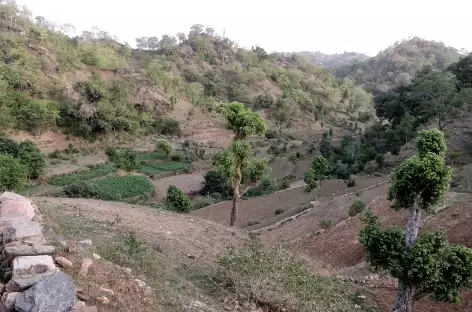 Balade entre Kumbalgarh et Ranakpur - Rajasthan, Inde