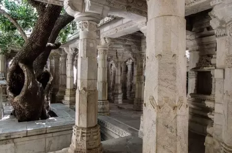 Temple d'Adinath, Ranakpur - Rajasthan, Inde