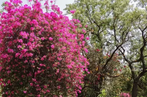 En arrivant à Adinath, Rajasthan