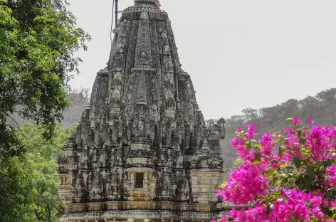 Le temple d’Adinath, joyau de l’architecture jaïn