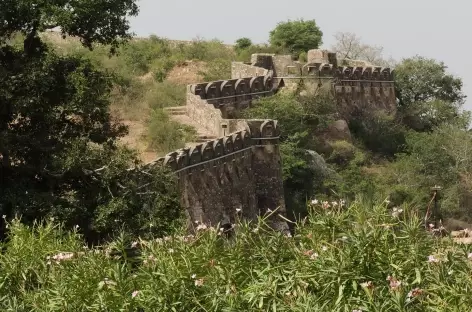 La muraille d'enceinte à Chittorgarh, Rajasthan, Inde
