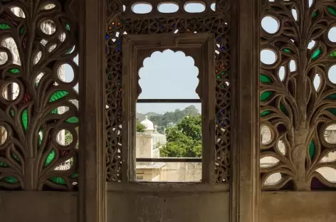 Détail d'architecture à Udaipur, Rajasthan