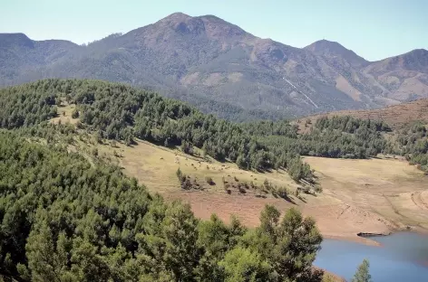 Couleurs d'hiver sur les montagnes de la région Munnar, Inde du Sud