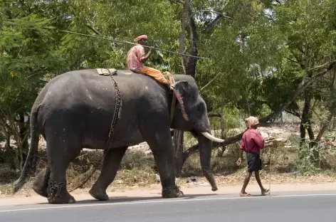 sur la route au Kerala, Inde du sud