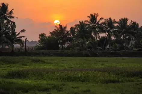 Coucher de soleil depuis les back water, Inde du Sud