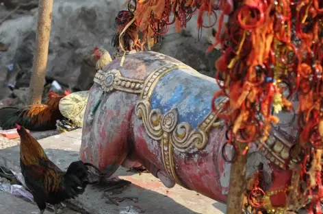 Temple de Kali - Orissa, Inde