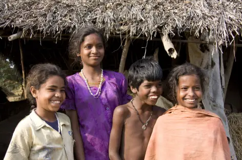 Tribus d'Orissa  - Inde