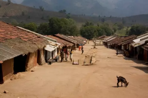 Village tribal d'Orissa, Inde