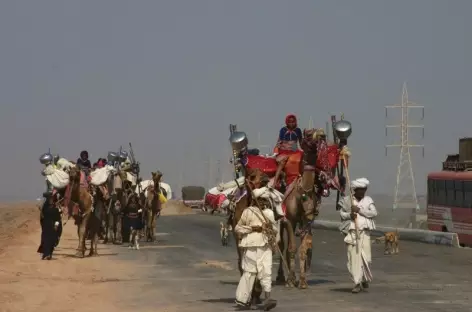 Caravane chamelière sur la route