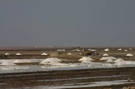 Collecte du sel au Rann du Kutch