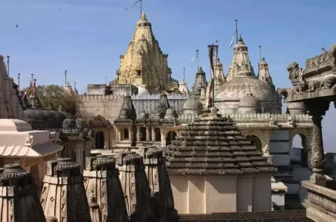 Temple Jain à Palitana