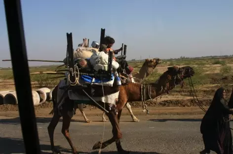 Tribus du Gujarat à Bhuj