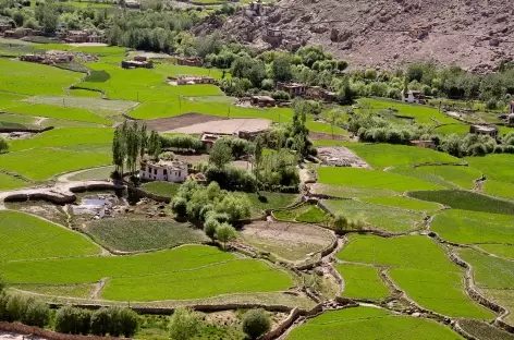 Lumières de la Nubra en Juin, Ladakh - Inde