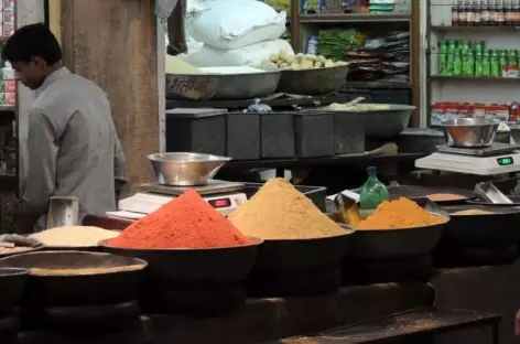 Riz, lentilles, épices, Delhi - Inde - 