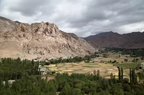 Vallée de L'Indus  - Ladakh - Inde - 