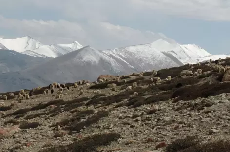 Trek > Yakrupal (4600 m)