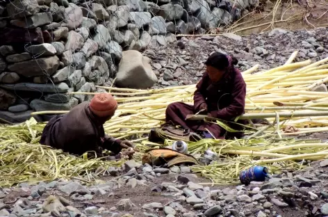 Leh, Trek > Phyang, Alchi (3300 m)