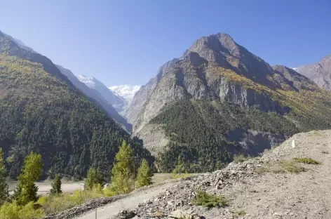 Paysage autour de Manali 