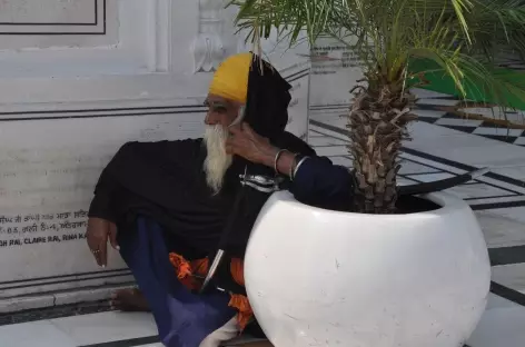 Sikh, Amritsar