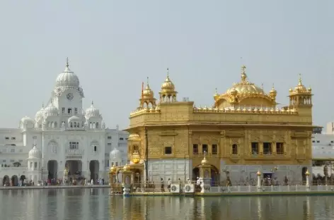 Temple d'Or Amritsar - Inde