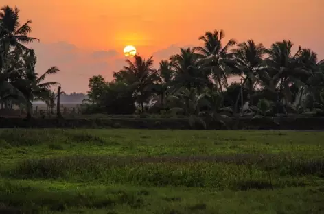 Kerala, les Back Waters - 