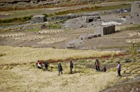 Shergol > Sanku > Panikar > Rangdum (4020 m)