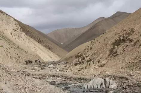 Départ de Snertze, Ladakh, Zanskar- Inde