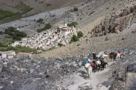Le village de Lingshed  blotti contre la montagne, Ladakh, Zanskar- Inde