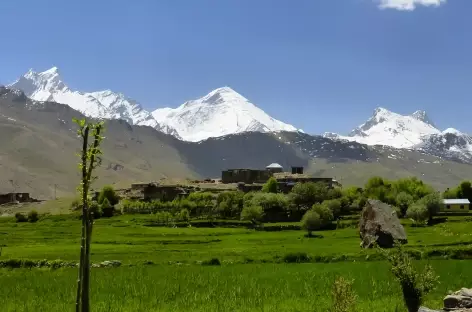 Shergol > Sanku > Panikar > Rangdum (4020 m)