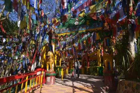 Temple bouddhiste, Darjeeling