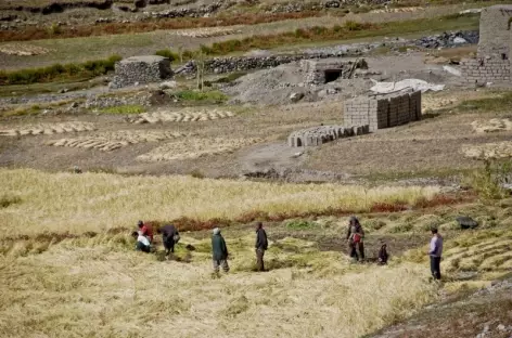 Ladakh - Inde 