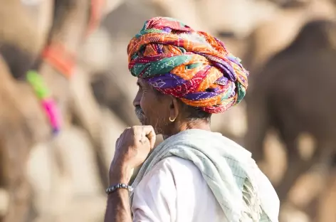 Pushkar - 