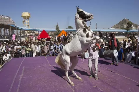 Pushkar