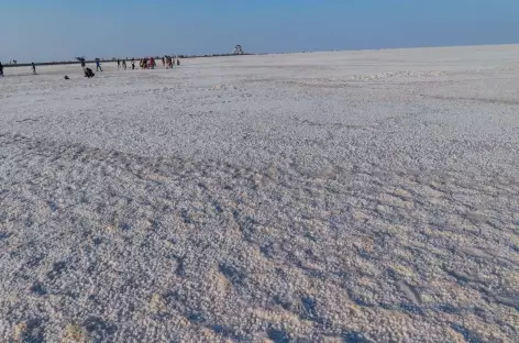 Rann de Kutch - Gujarat