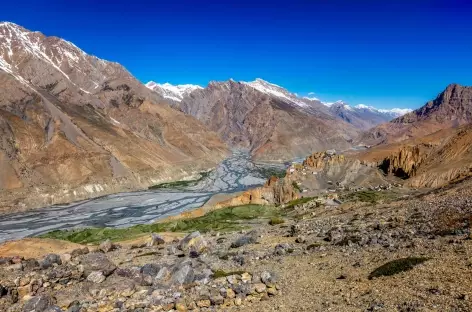 Dhankar Gompa