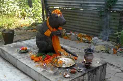 Temple d'Umananda - Guwahati